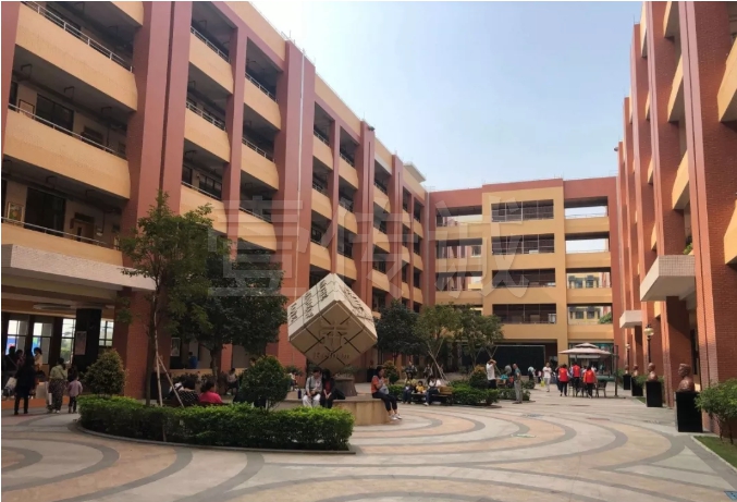 VR科普教育進(jìn)駐北大新世紀(jì)正華學(xué)校