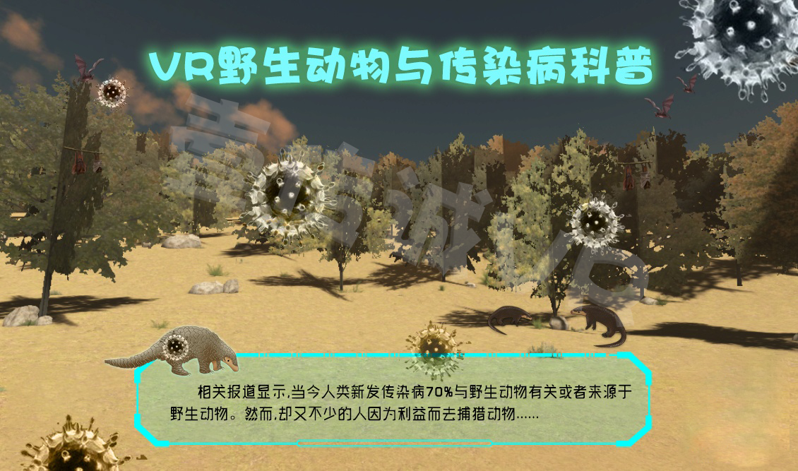VR野生動物
