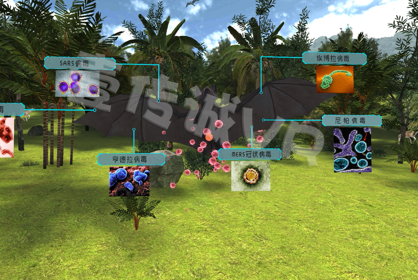 VR野生動(dòng)物,VR疾病科普,VR傳染病科普