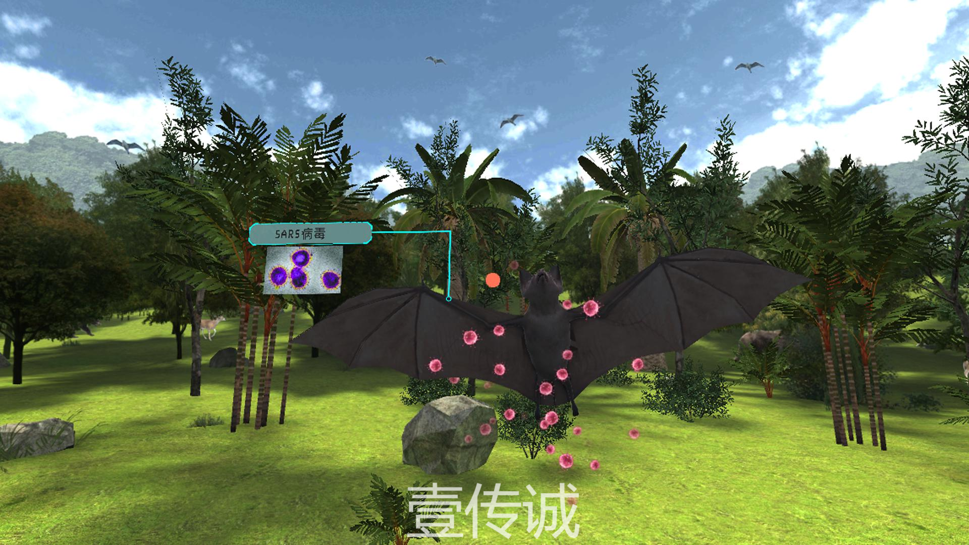 VR傳染病科普,VR野生動物,VR安全科普
