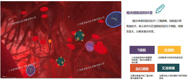 廣州壹傳誠VR 艾滋病培訓(xùn)系統(tǒng) 防艾科普教學(xué) 防艾宣傳教育